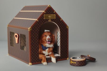 luxury pet care