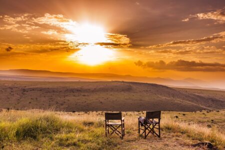 Steppes Travel safari