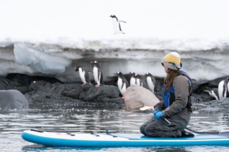 Steppes Travel arctic