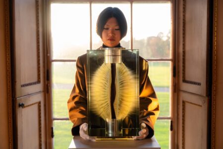 Distillers One of One auction